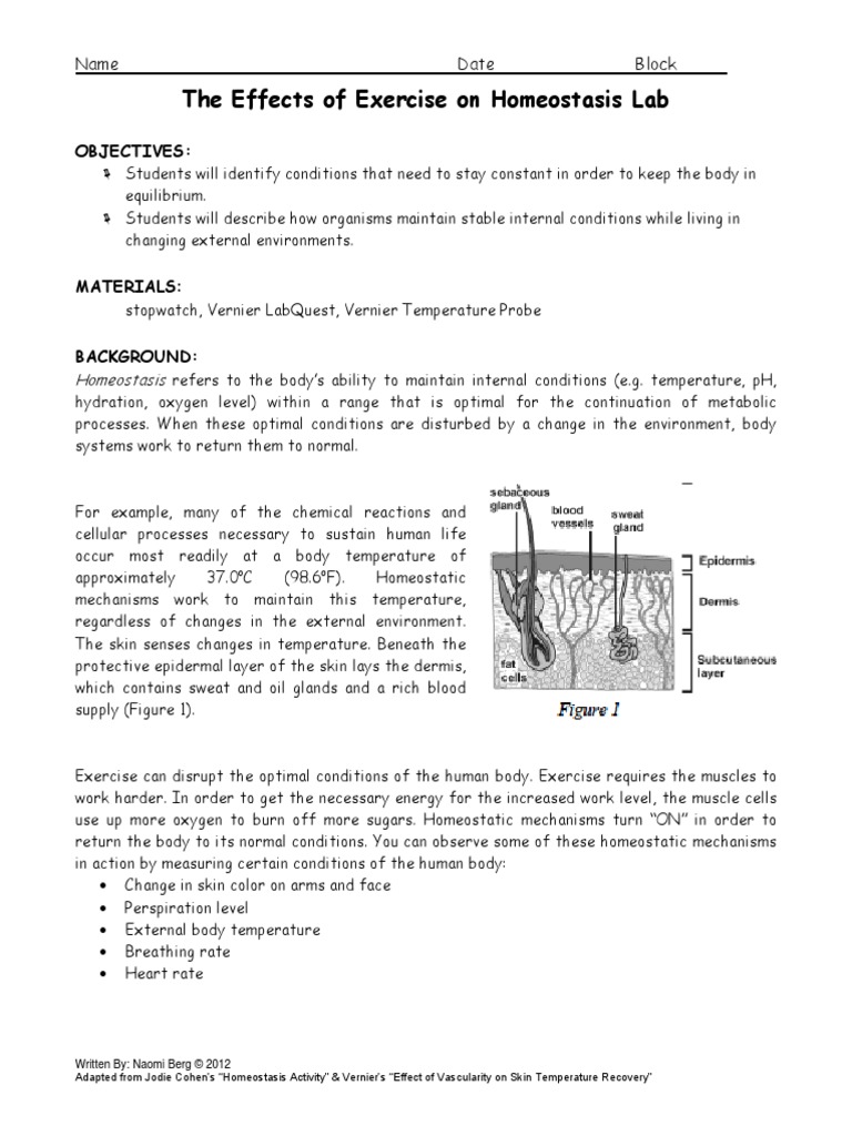 LAB_611.Effects of Exercise on Homeostasis Homeostasis Heart Rate