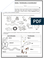 Guia - Animales Vertebrados