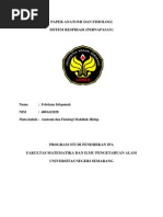 Download Anatomi Fisiologi Sistem Pernafasan by fhebi febriana SN250610877 doc pdf