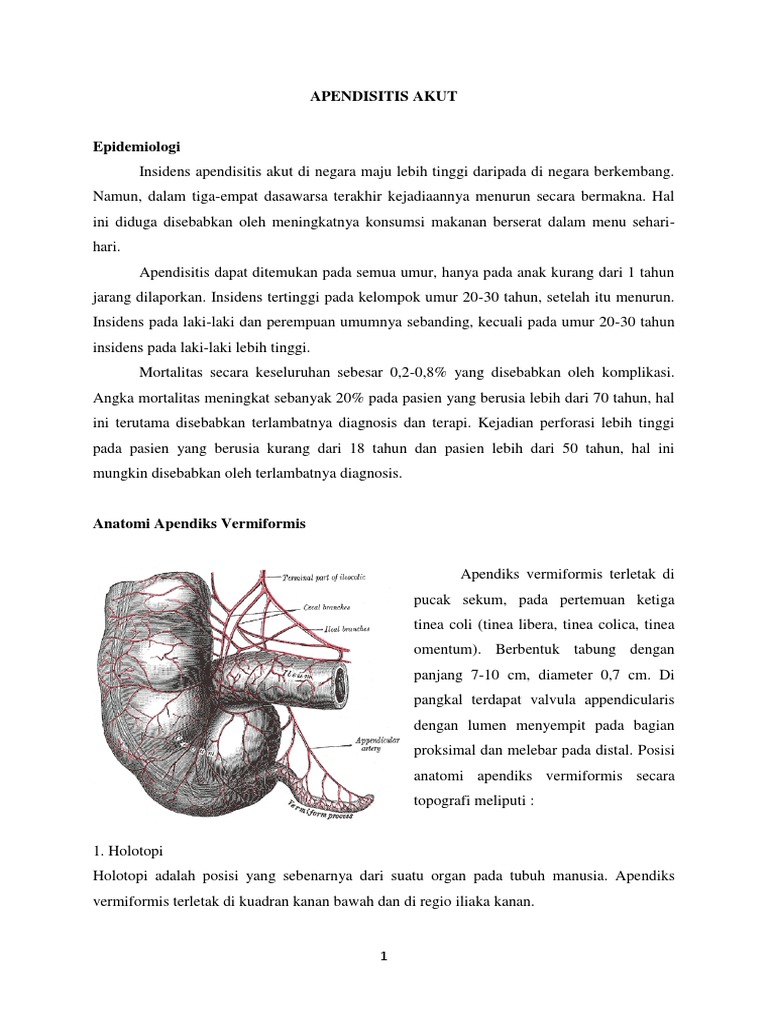 Etiologi dan Anatomi Apendisitis Akut | PDF