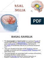 Basal Ganglia