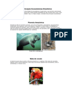 Os Principais Ecossistemas Brasileiros texto.docx