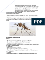 El Dengue Es Una Enfermedad Viral Aguda Que Puede Afectar a Personas de Cualquier Edad