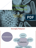 Archaebacteria & Eubacteria