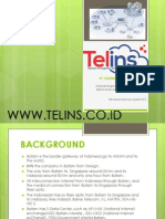 Company Profil Telins 