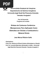 unicamp1tesemetanolpeneiras