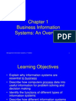 Business Information System