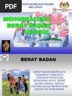 Download Mengekalkan Berat Badan Unggul by Ernie George SN250682454 doc pdf