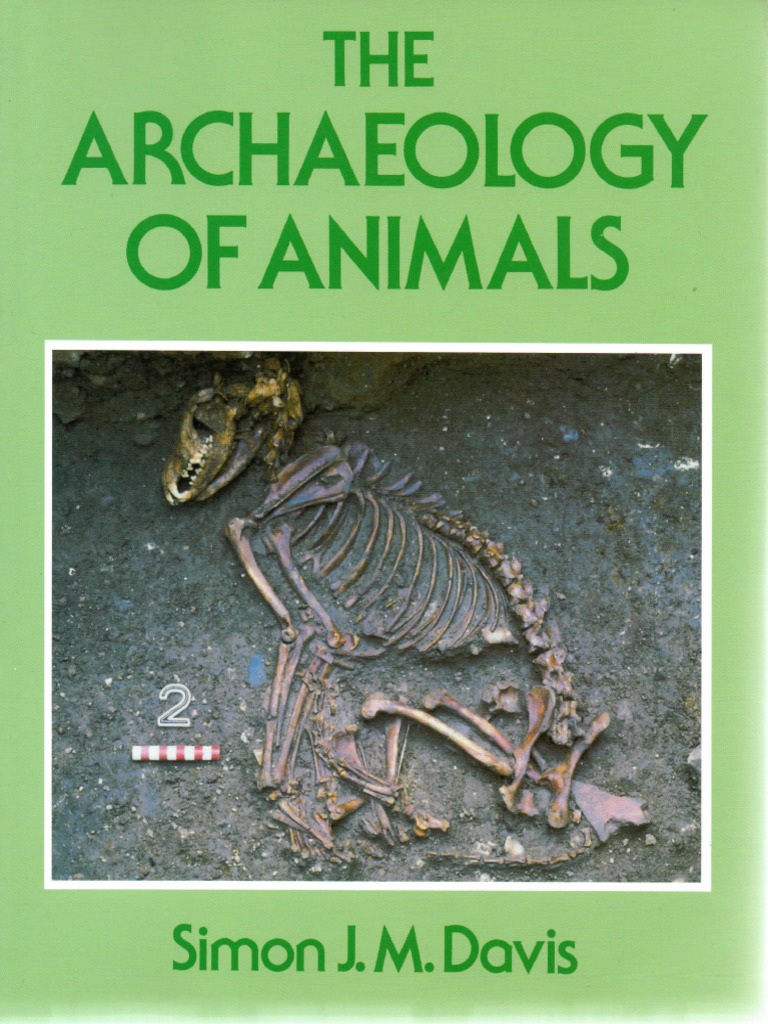 Davis - The Archaeology of Animals