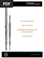 TIW Valve | PDF
