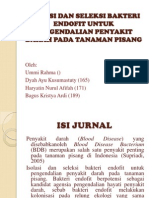 Isolasi Dan Seleksi Bakteri Endofit Untuk Pengendalian Penyakit