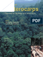 A Review Dipterocarps