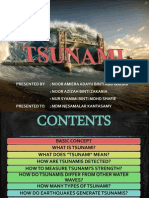 Tsunami Basics