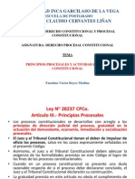 Victor Reyes.- Principios Procesales y actividad juez constitucional - 1.pptx