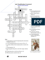 Classification of Plant Crossword