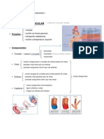 6 - Sistema - Cardiovascular PDF