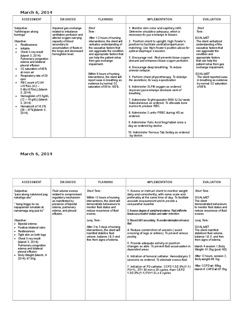 Nursing Care Plan Example Pdf Fever Respiratory System