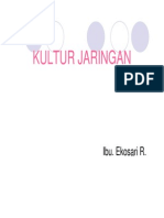 Materi Kultur Jaringan