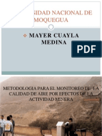Medio Ambiente Mayer Cuayla Medina