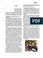 eFECTIVIDAD PERDIDA DE PESO PDF