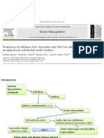 Presentasi Selulosa