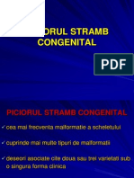 245274752-Piciorul-Stramb-Congenital.ppt