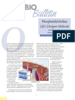 Phosphatidylcholine Life’s Designer Molecule