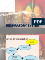 Edited Respiratory