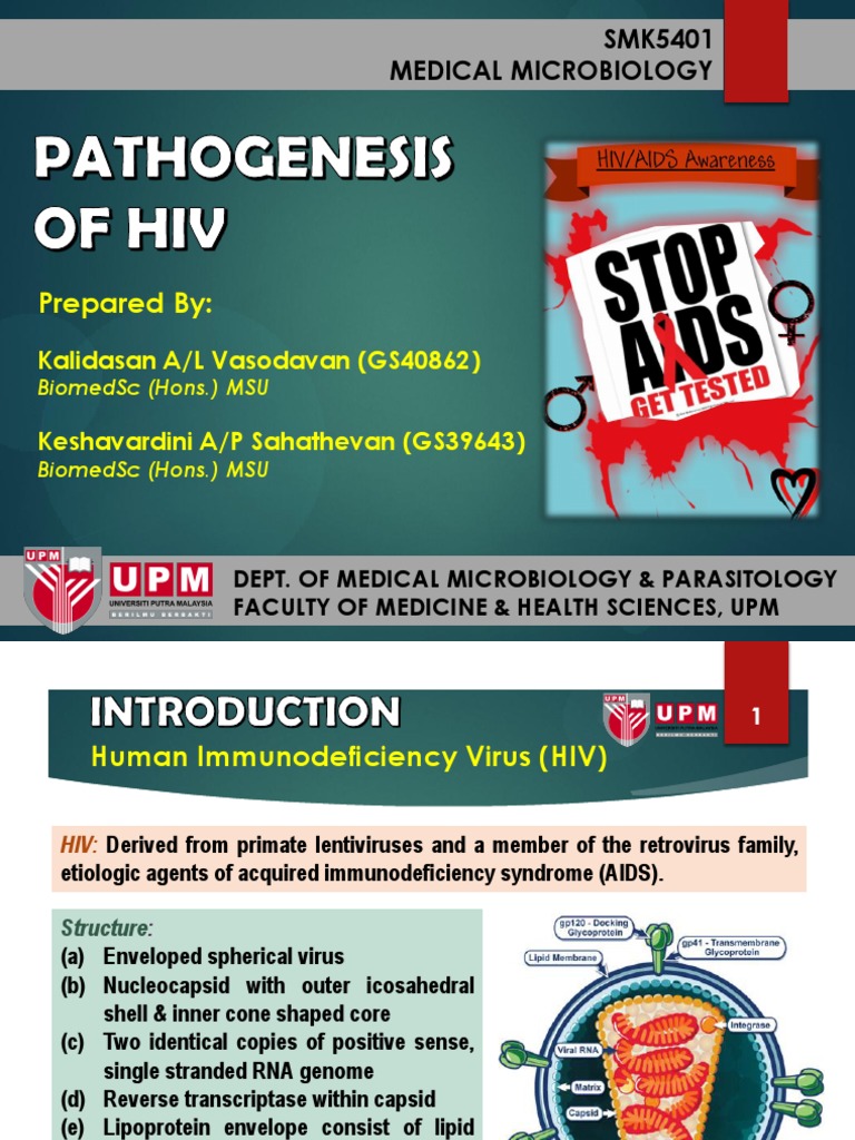 Pathogenesis Of Hiv Pdf Hiv Virus