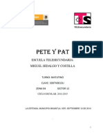 PAT de Escuela 2014 - 2015