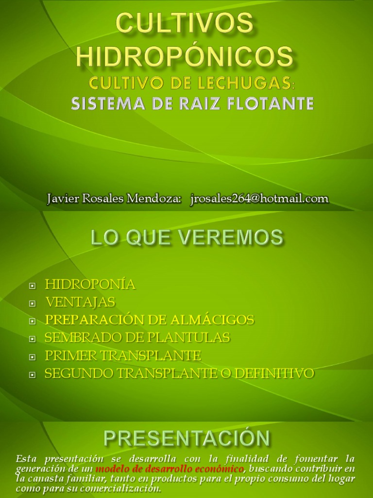 Confrontacin Hidropona Vs Cultivo Orgnico En Suelo