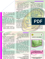 Leafletcabe09 PDF