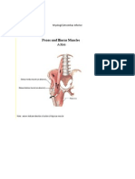 Myologi Ekstremitas Inferior