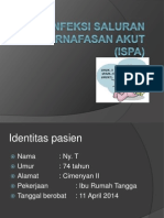 Infeksi Saluran Pernafasan Akut (Ispa)