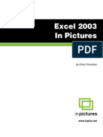 Excel 2003 in Pictures s