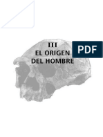 El Origen Del Hombre