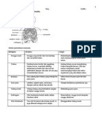 06 F3C1 1.1 Sistem Pernafasan Manusia - Nota Ringkas