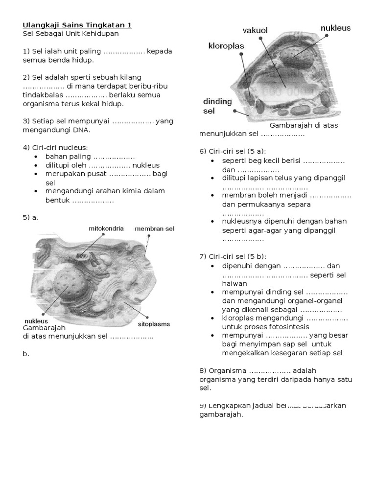 Sains Tingkatan 1-Sel (Latihan)