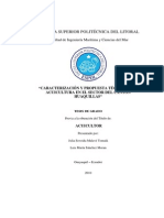 "Caracterización y Propuesta Técnica de La PDF