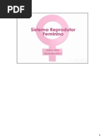 Sistema Reprodutor Feminino