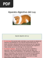 Aparato Digestivo Del Cuy