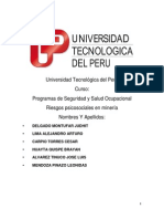 Programas de Seguridad y Salud Ocupacional Riesgos psicosociales en minería