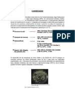 CANDIDIASIS-pitiriasis Versic Pie Atleta Tinea Pedis