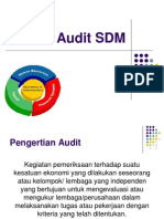 Audit-SDM