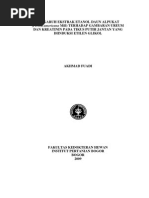 Download wah by fakhmiyogii SN250934145 doc pdf