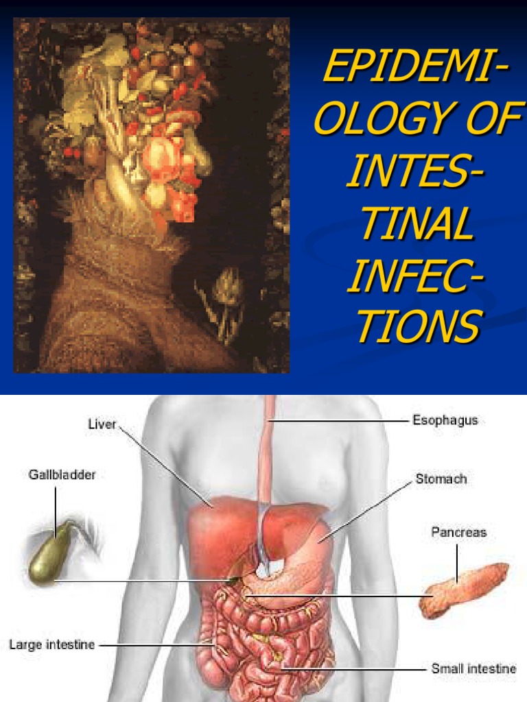 Lecture 3 Epidemiology of Intestinal Infections Infection Public Health