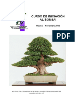 cursobonsai.pdf