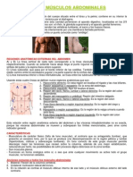 Abdominales.pdf