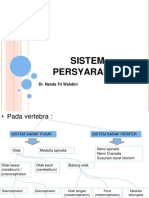 SISTEM SARAF PUSAT