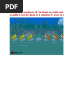 Download frog leap by anand SN2509752 doc pdf